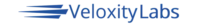 Veloxity Labs logo 